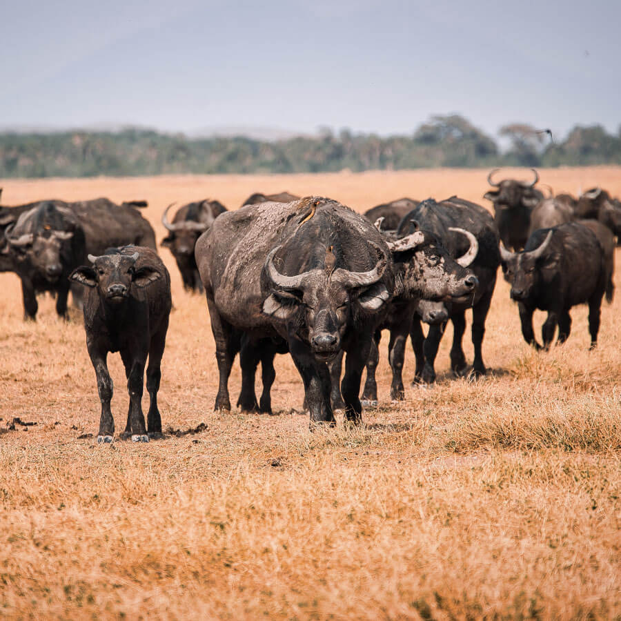 13 Day Namibia by Private Air