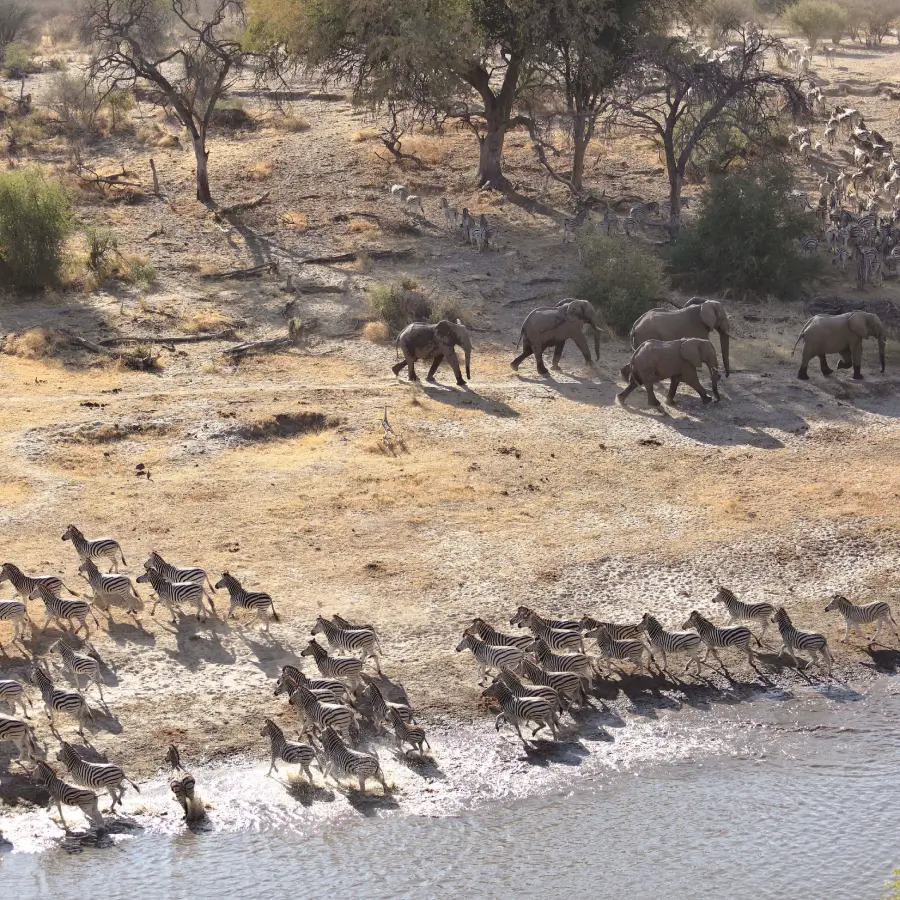 13 Day Natural Wonders Wildlife Safari